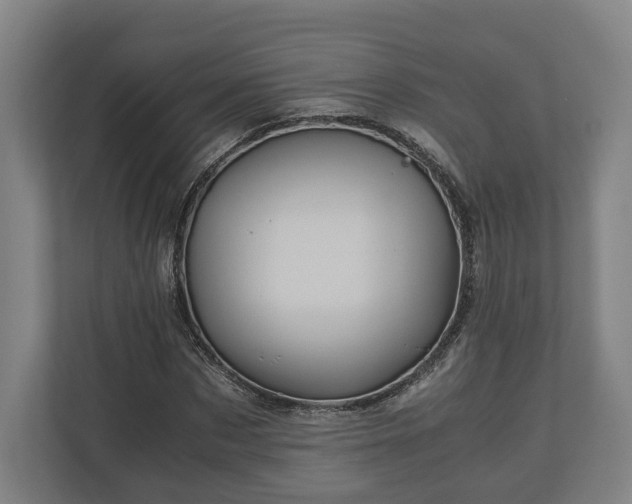 X0000110970873200906261406