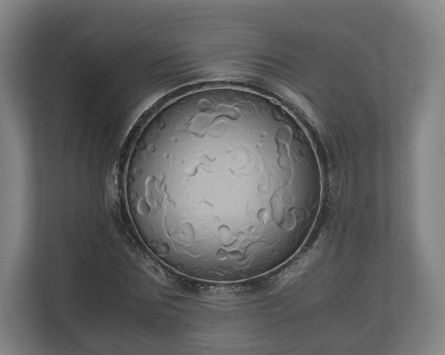 X0000110970875200906261406