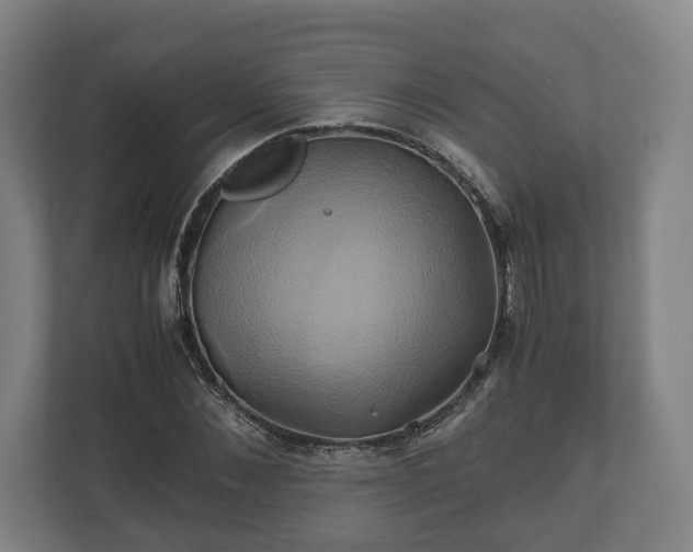 X0000110970876200906261406