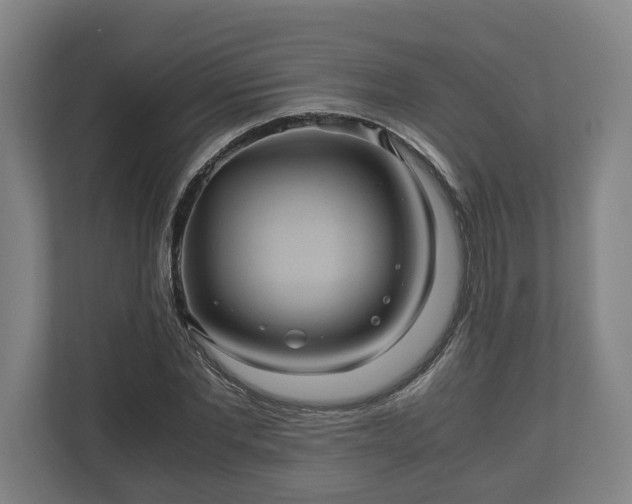 X0000110970877200906261406