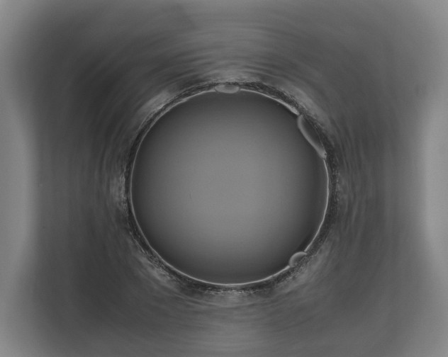 X0000110970881200906261406