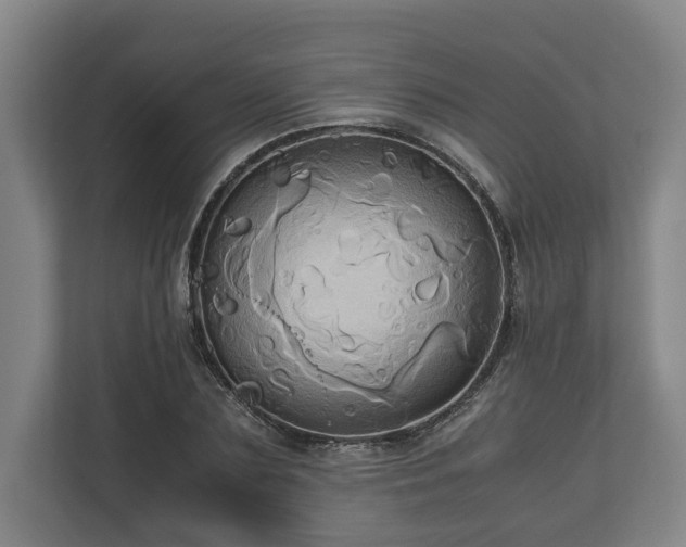 X0000110970883200906261406