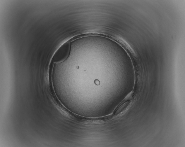 X0000110970884200906261406