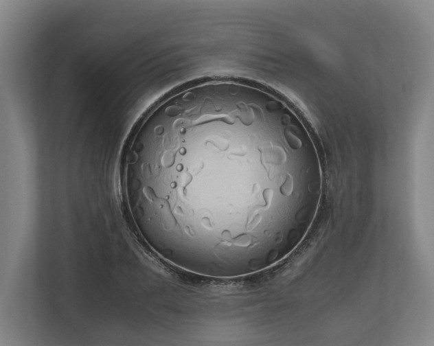 X0000110970887200906261406