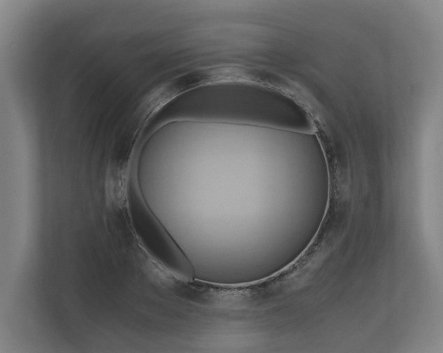 X0000110970889200906261406