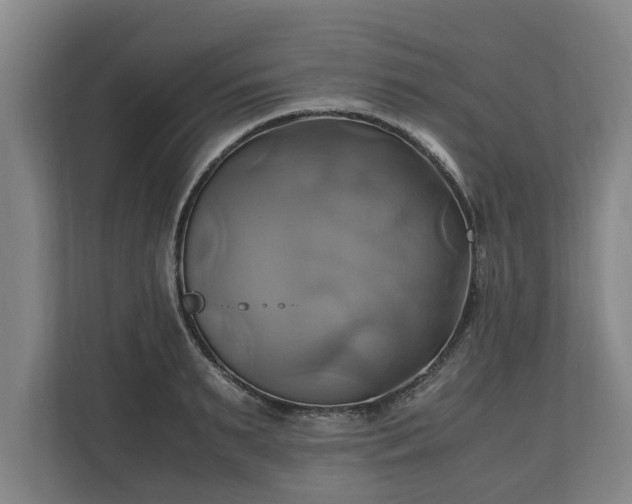 X0000110970895200906261406