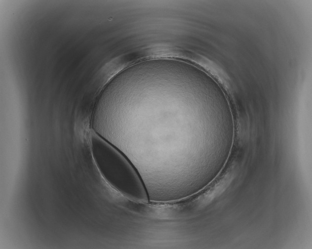 X0000110970897200906261406