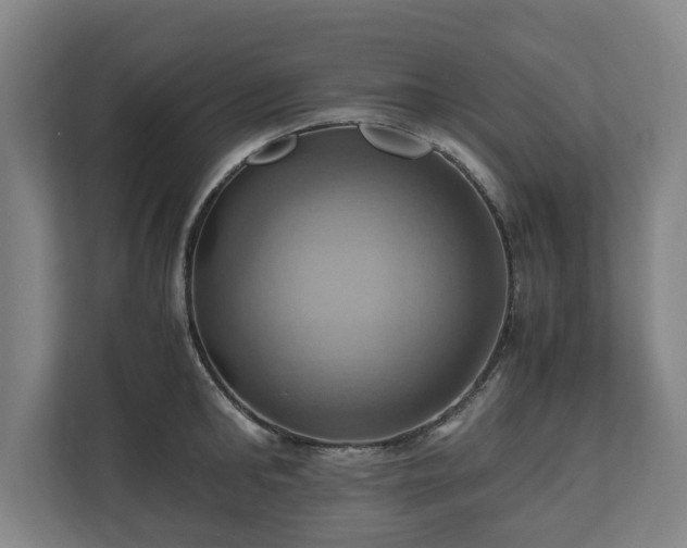 X0000110970902200906261406