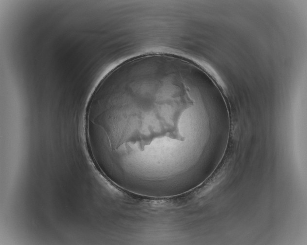 X0000110970903200906261406