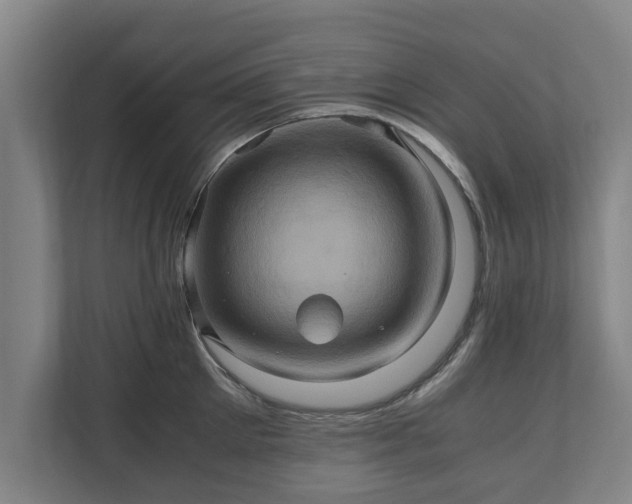 X0000110970905200906261406