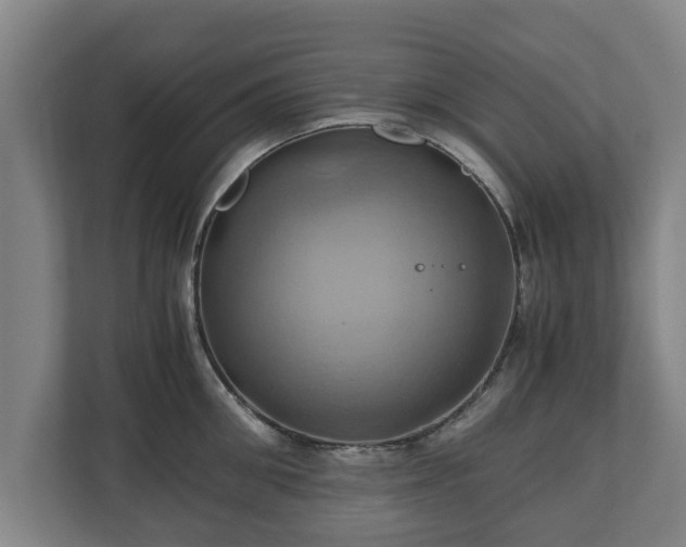 X0000110970906200906261406