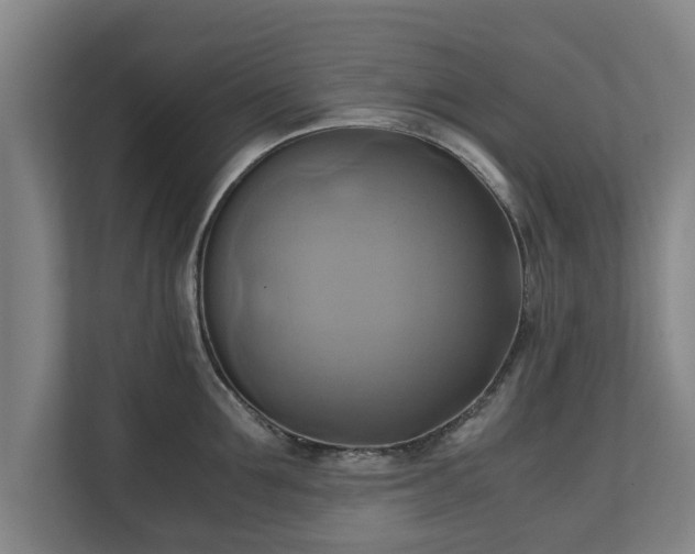 X0000110970907200906261406