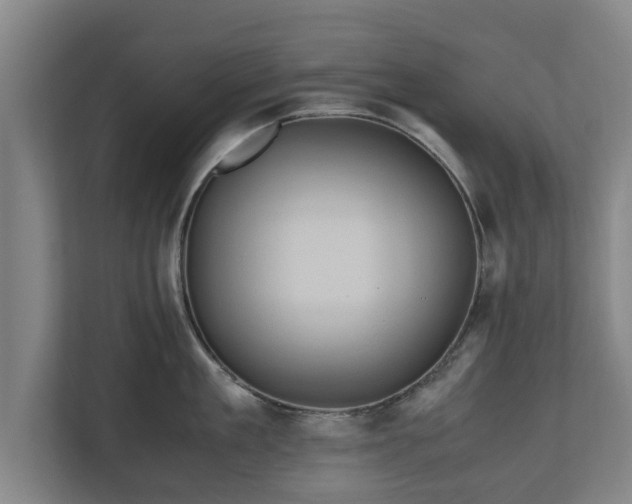 X0000110970909200906261406