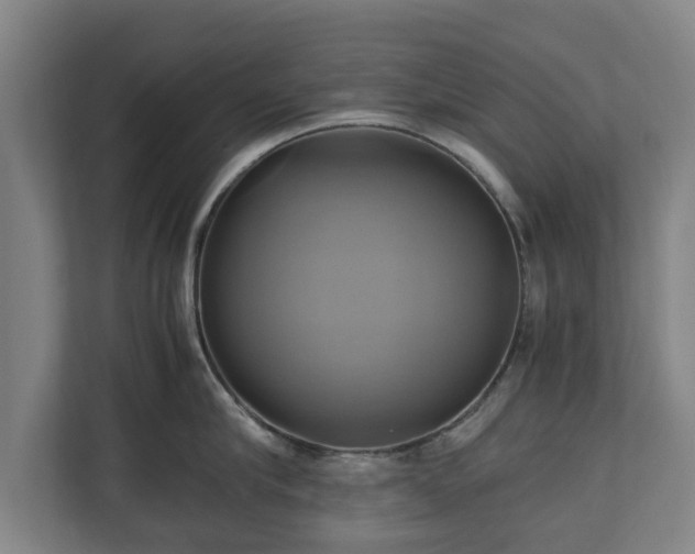 X0000110970910200906261406