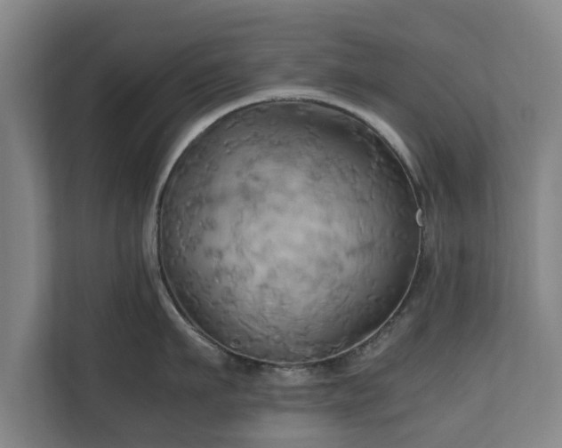 X0000110970911200906261406