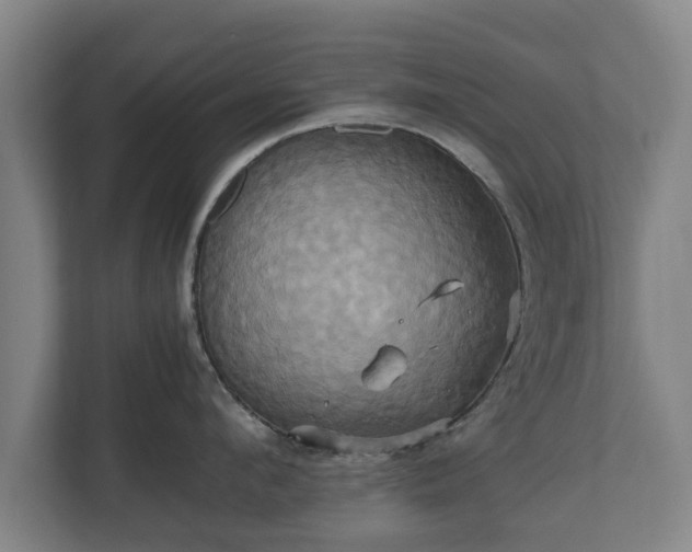 X0000110970912200906261406