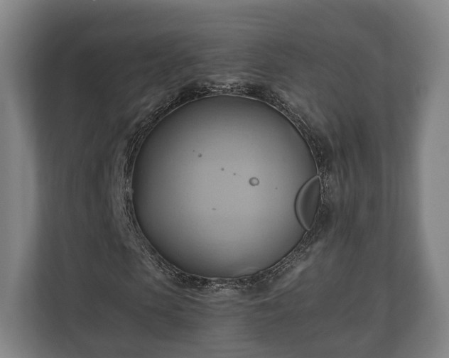 X0000110970913200906261405