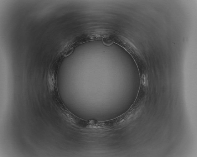 X0000110970915200906261405