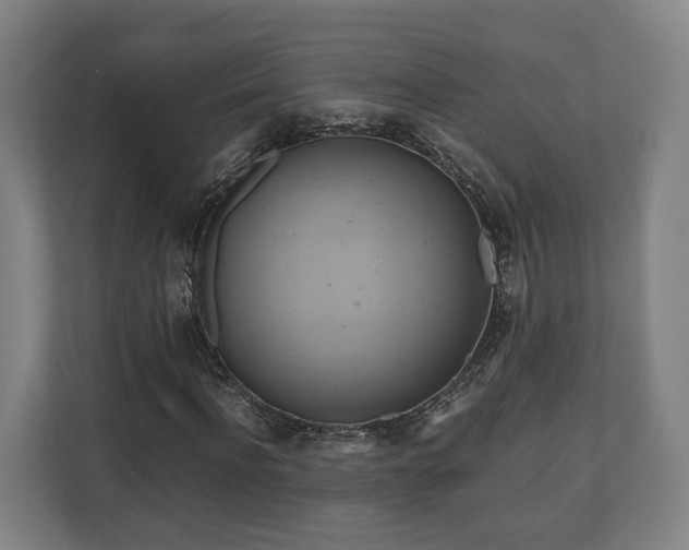 X0000110970916200906261405