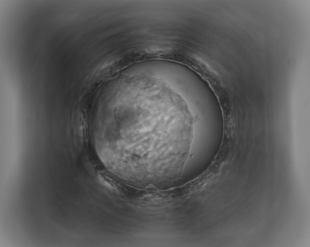 X0000110970917200906261405