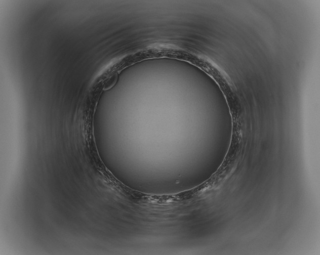 X0000110970919200906261405