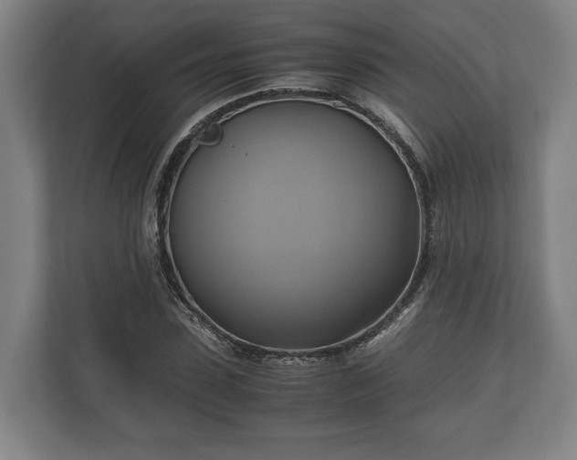 X0000110970923200906261405