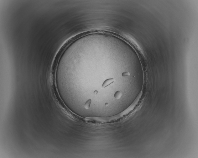 X0000110970924200906261405