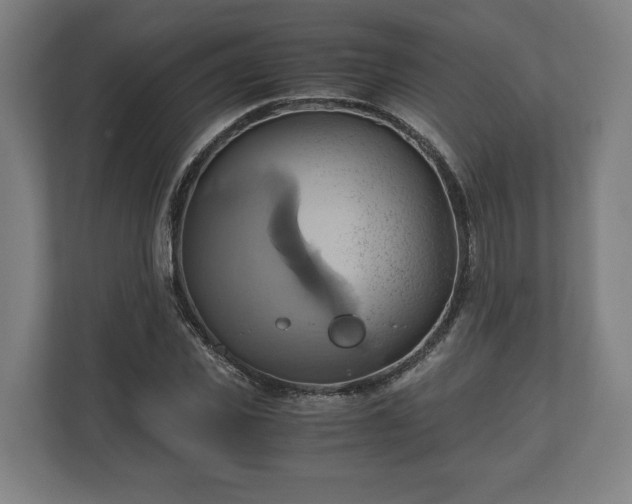 X0000110970925200906261405