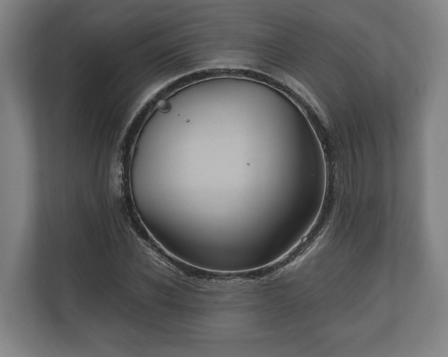 X0000110970926200906261405