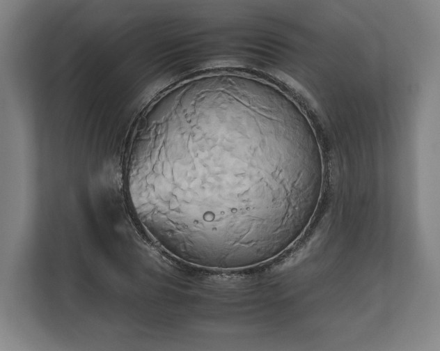 X0000110970929200906261405