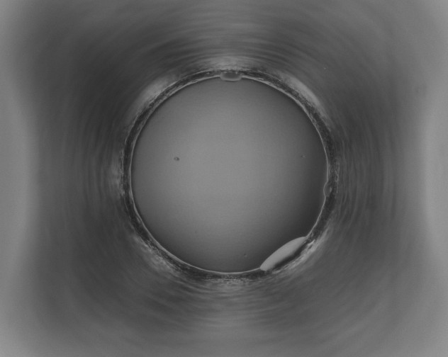 X0000110970930200906261405