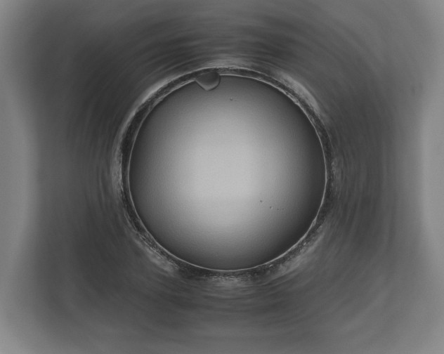 X0000110970931200906261405