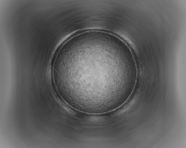 X0000110970933200906261405