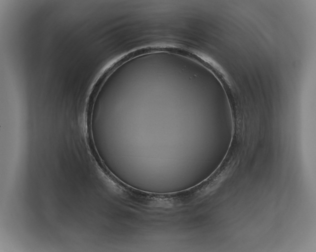 X0000110970935200906261405