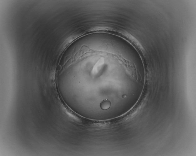 X0000110970937200906261405