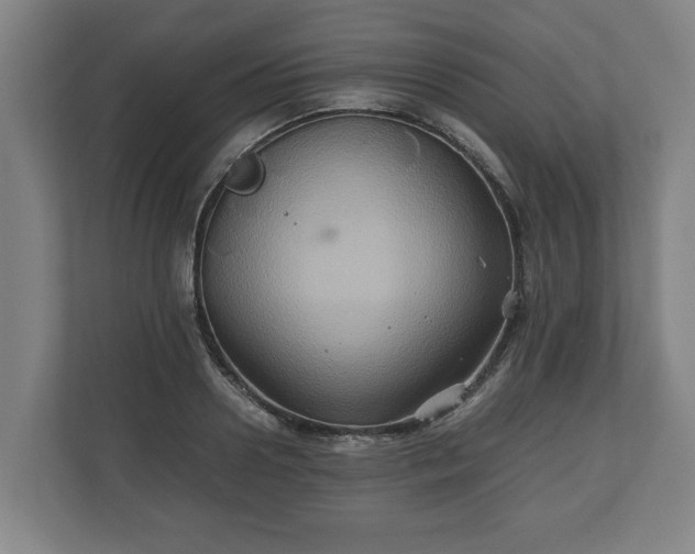 X0000110970938200906261405