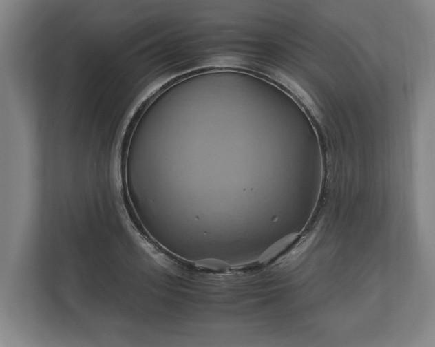 X0000110970939200906261405