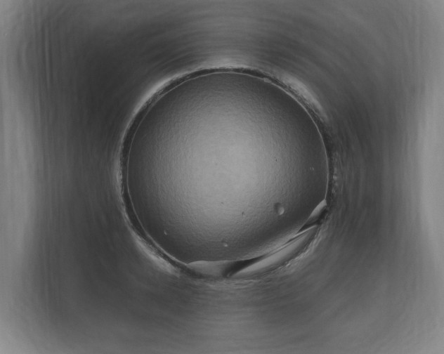 X0000110970942200906261405