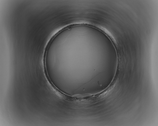 X0000110970943200906261405