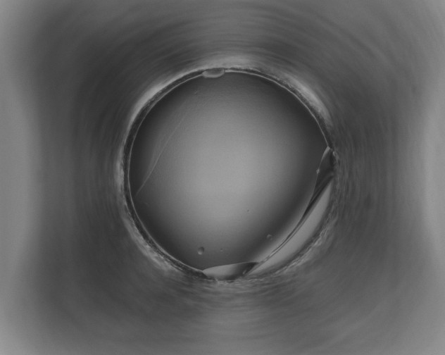 X0000110970944200906261405