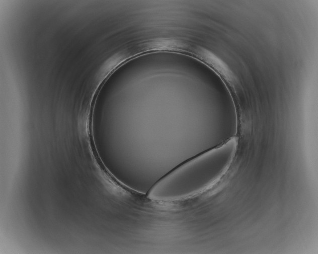 X0000110970946200906261405