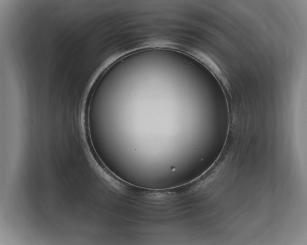 X0000110970947200906261405