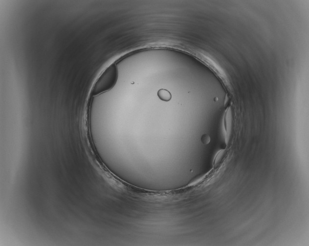 X0000110970948200906261405