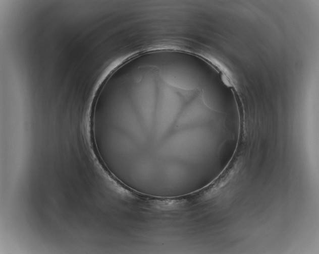 X0000110970949200906261405