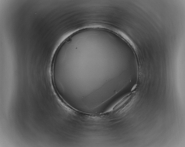 X0000110970951200906261405