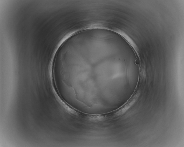 X0000110970957200906261406