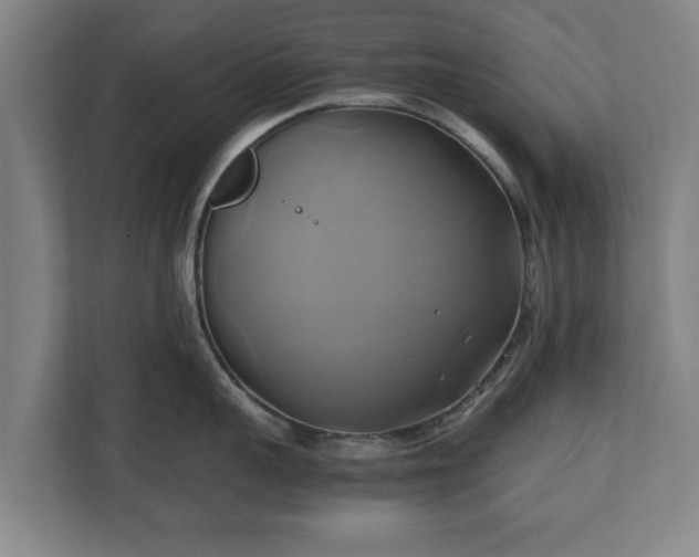 X0000110970959200906261406