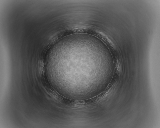 X0000110970964200906261405