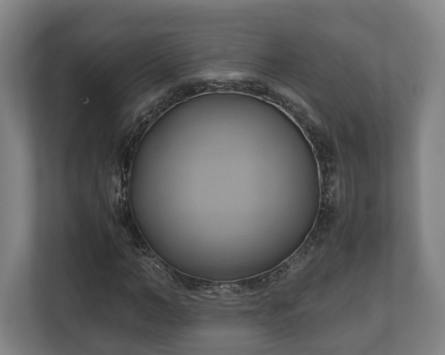 X0000110970966200906261405