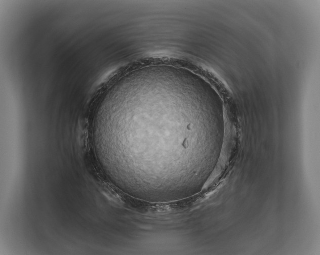 X0000110970968200906261405